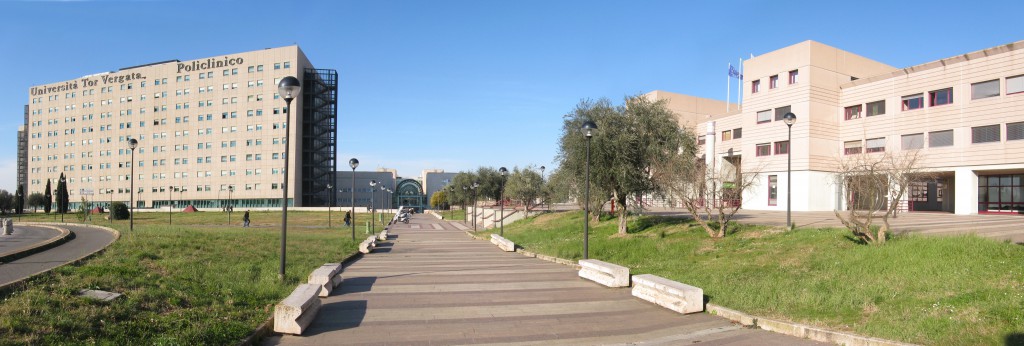 Dottorati Medicina dei Sistemi Università di Roma Tor Vergata